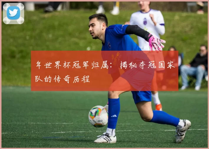 年世界杯冠军归属：揭秘夺冠国家队的传奇历程