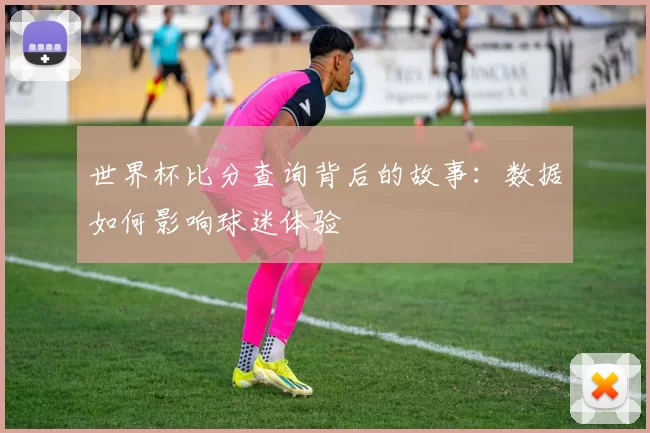 世界杯比分查询背后的故事：数据如何影响球迷体验