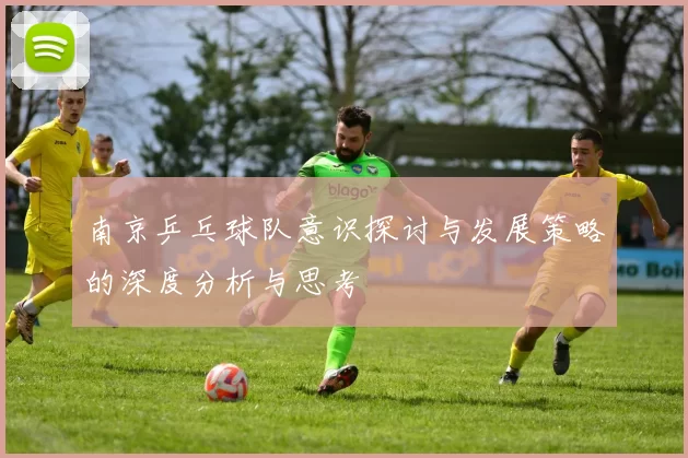 南京乒乓球队意识探讨与发展策略的深度分析与思考
