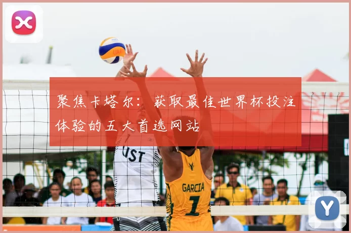 聚焦卡塔尔：获取最佳世界杯投注体验的五大首选网站