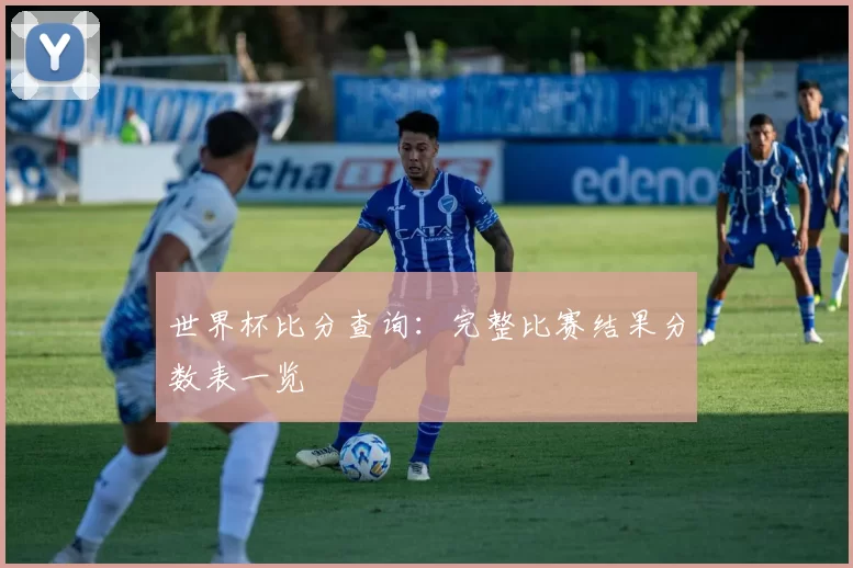 世界杯比分查询：完整比赛结果分数表一览