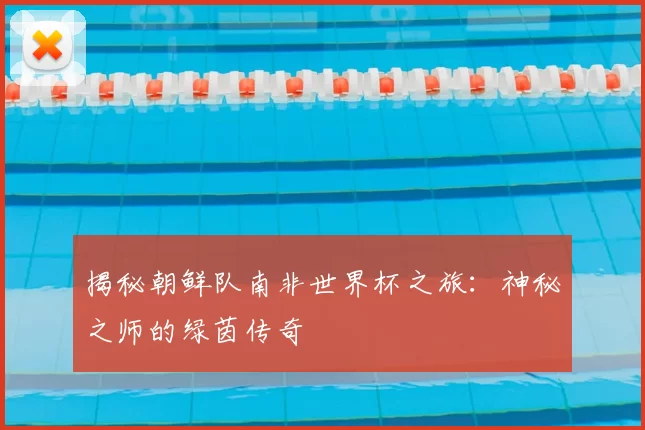 揭秘朝鲜队南非世界杯之旅:神秘之师的绿茵传奇