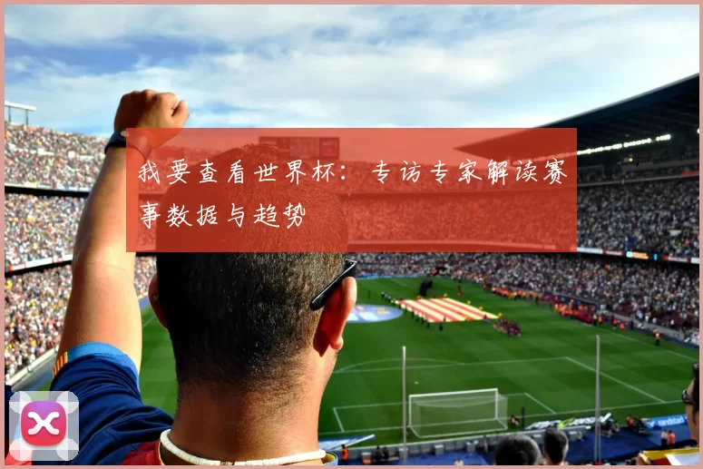 我要查看世界杯：专访专家解读赛事数据与趋势