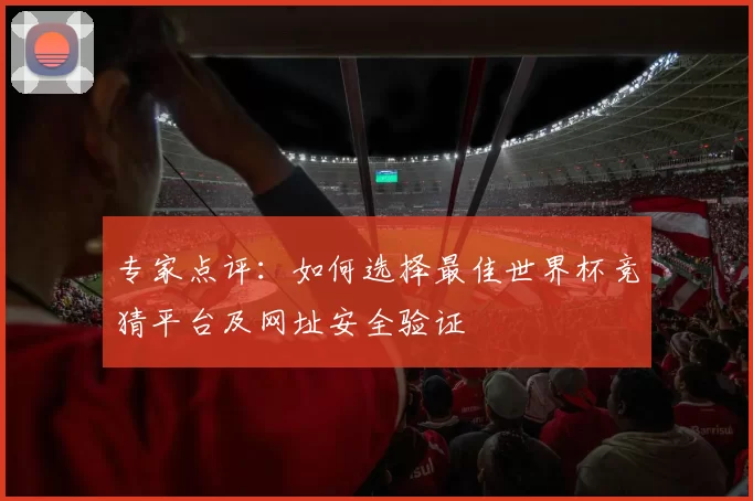 专家点评:如何选择最佳世界杯竞猜平台及网址安全验证