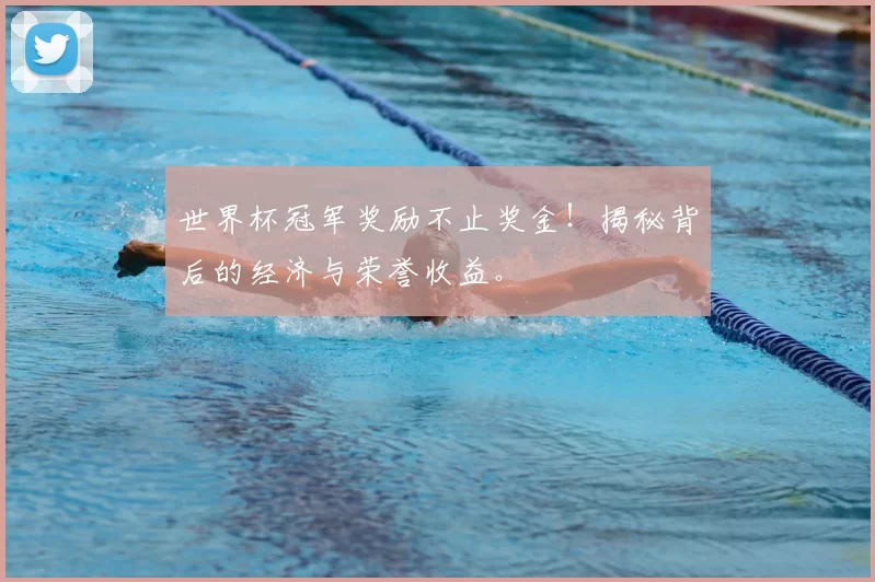 世界杯冠军奖励不止奖金！揭秘背后的经济与荣誉收益。