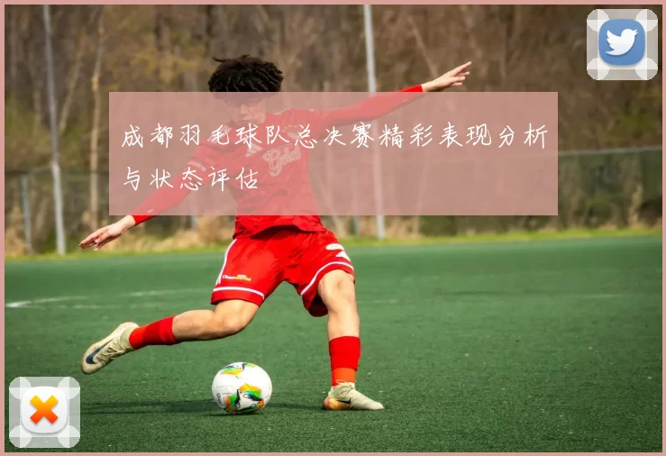 成都羽毛球队总决赛精彩表现分析与状态评估