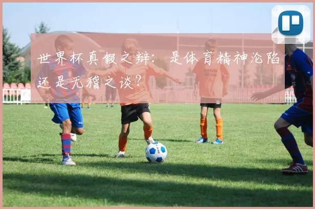 世界杯真假之辩：是体育精神沦陷还是无稽之谈？