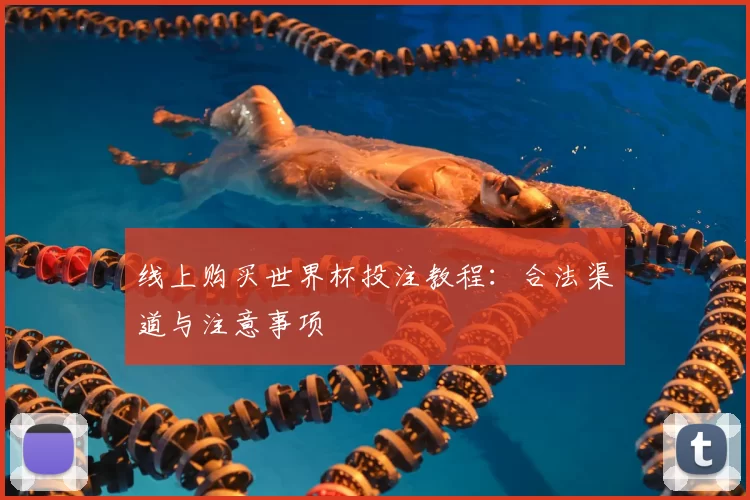 线上购买世界杯投注教程：合法渠道与注意事项