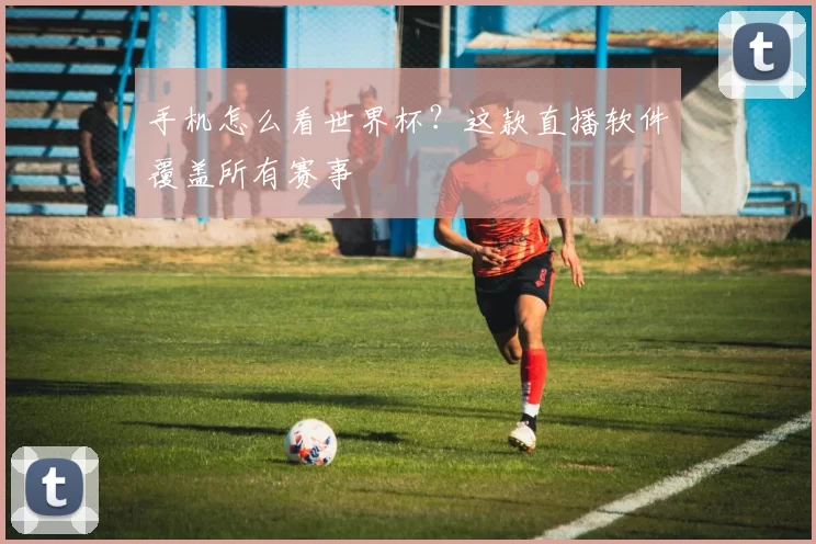手机怎么看世界杯?这款直播软件覆盖所有赛事