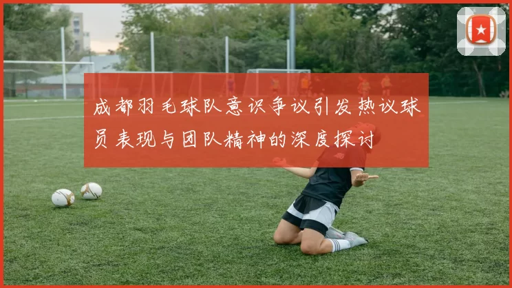 成都羽毛球队意识争议引发热议球员表现与团队精神的深度探讨