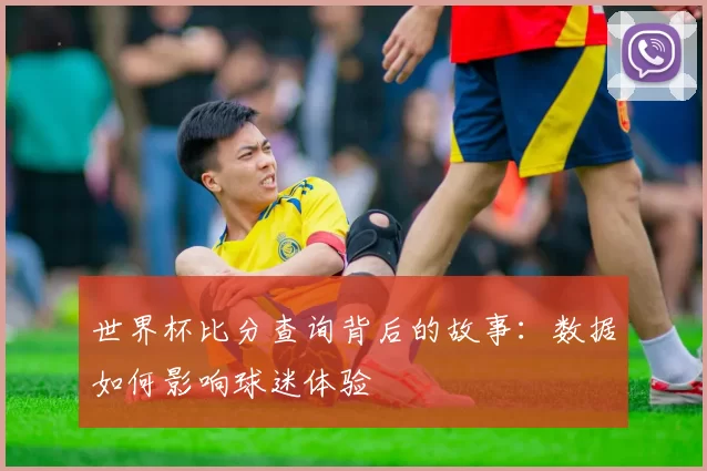世界杯比分查询背后的故事：数据如何影响球迷体验