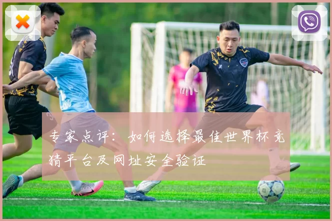 专家点评：如何选择最佳世界杯竞猜平台及网址安全验证