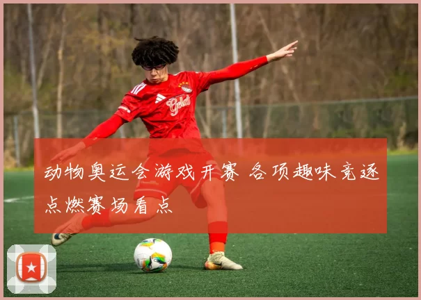 动物奥运会游戏开赛 各项趣味竞逐点燃赛场看点