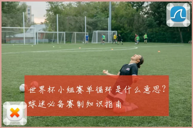 世界杯小组赛单循环是什么意思？球迷必备赛制知识指南