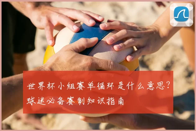 世界杯小组赛单循环是什么意思?球迷必备赛制知识指南