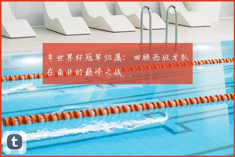 年世界杯冠军归属：回顾西班牙队在南非的巅峰之战