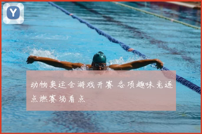 动物奥运会游戏开赛 各项趣味竞逐点燃赛场看点