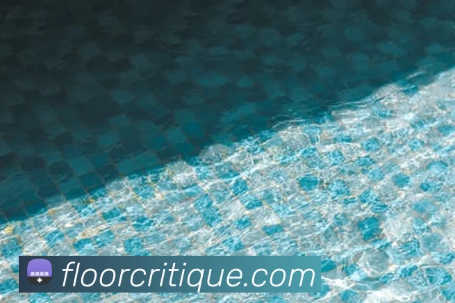 多彩内容专区